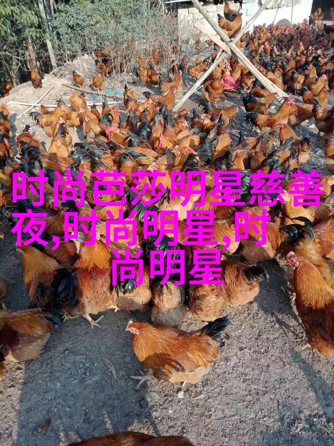 户外阳台