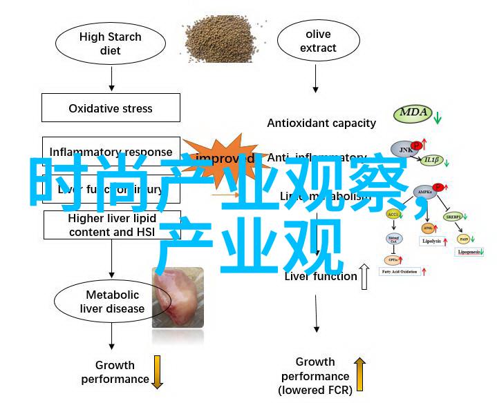 爱是敞开的大门揭秘情感相遇的无限可能