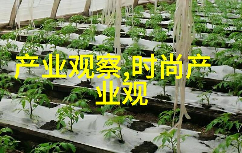 宗教文化中的割裂点不同信仰对剔除门的看法