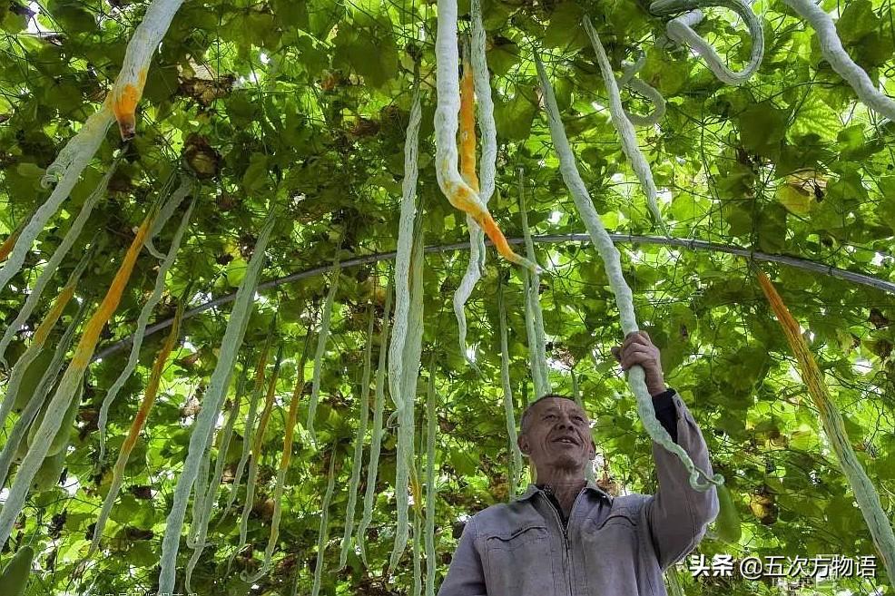 贝克汉姆发型流行文化中的剪刀艺术与足球明星的时尚象征