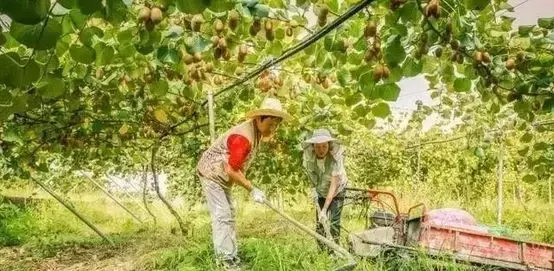 时尚男神风采展现型男的魅力与气质