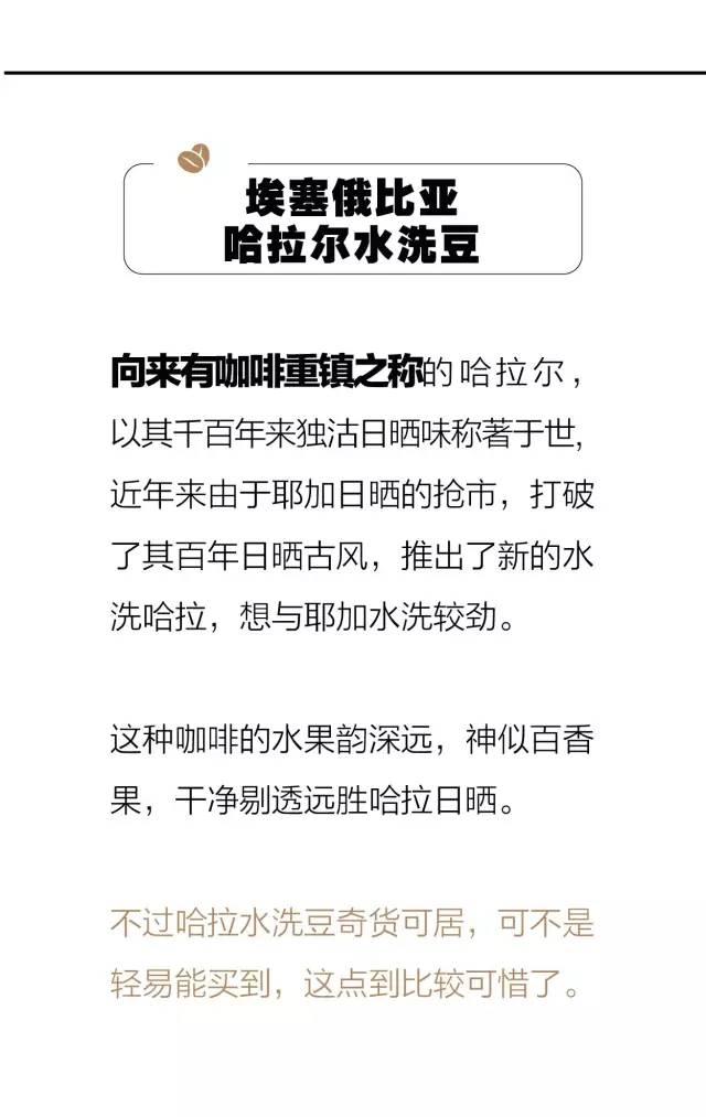 从椭圆到方形短发如何提升各种面部特征