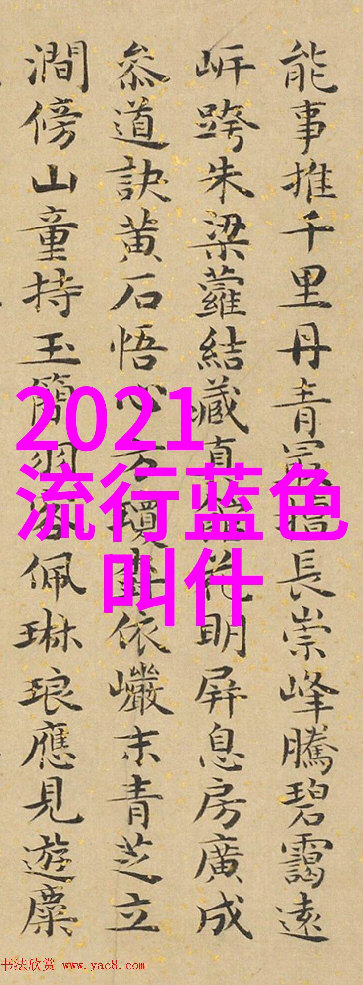 暖意满满的色彩2020冬装男士颜色有何选择