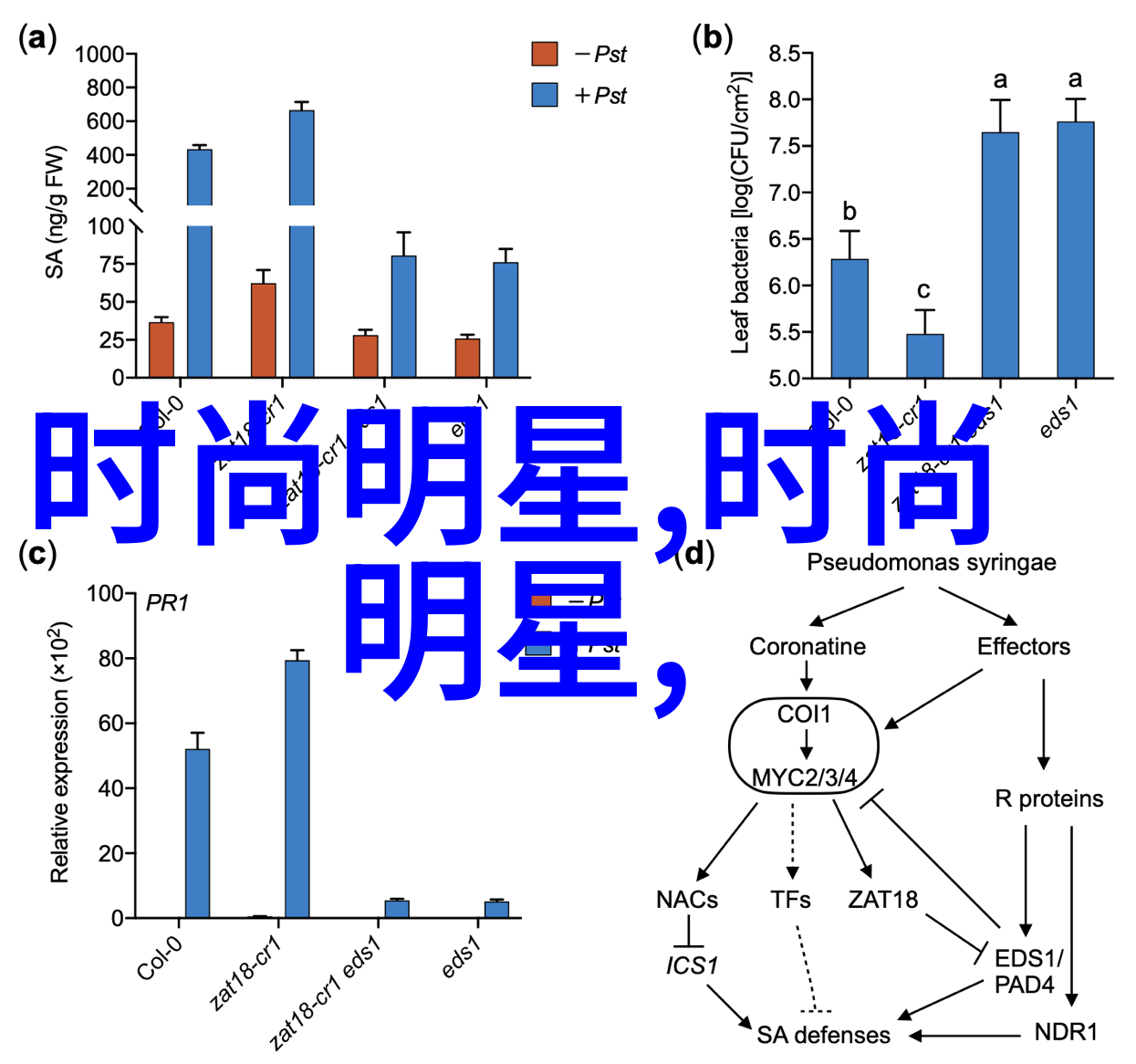 2021秋冬色彩流行趋势温暖的橙红与深邃的蓝绿相互辉映