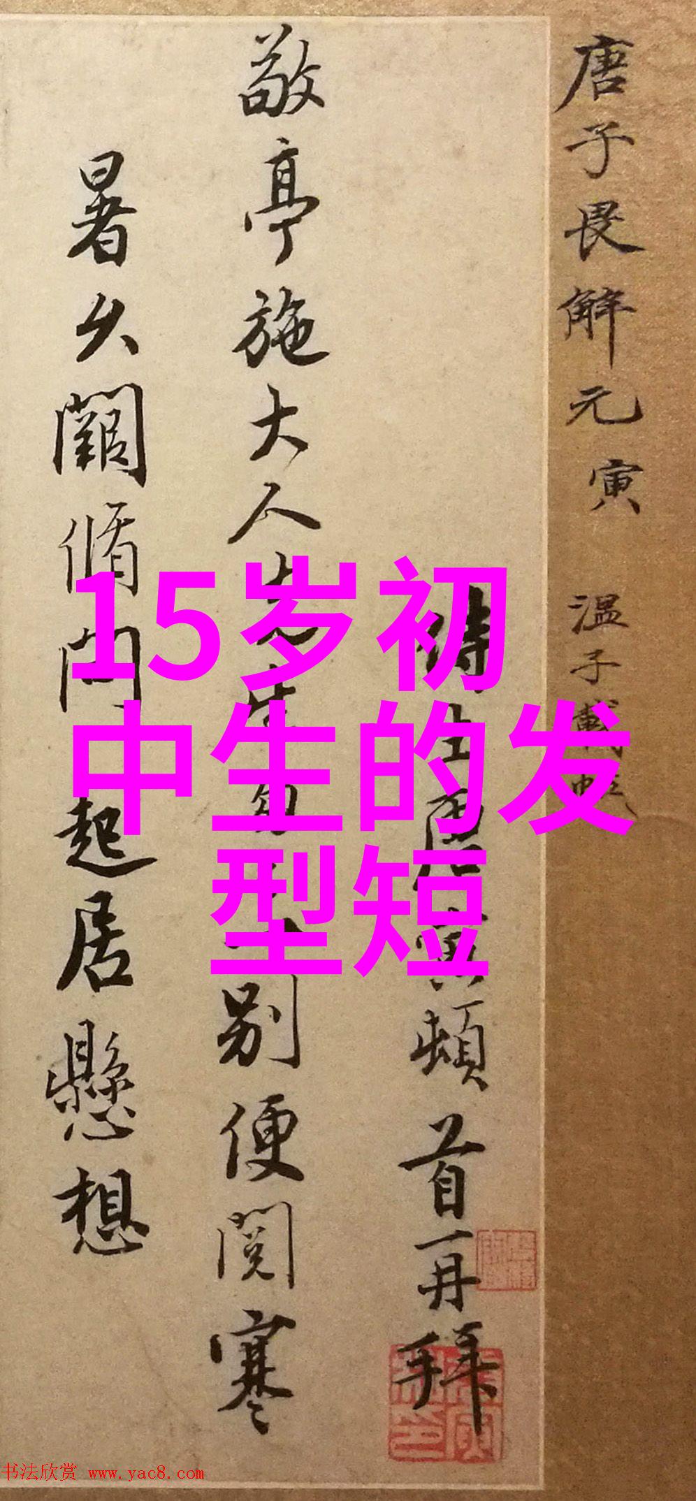 宠物也需要一个温暖的家才能健康成长你关注到这一点了吗