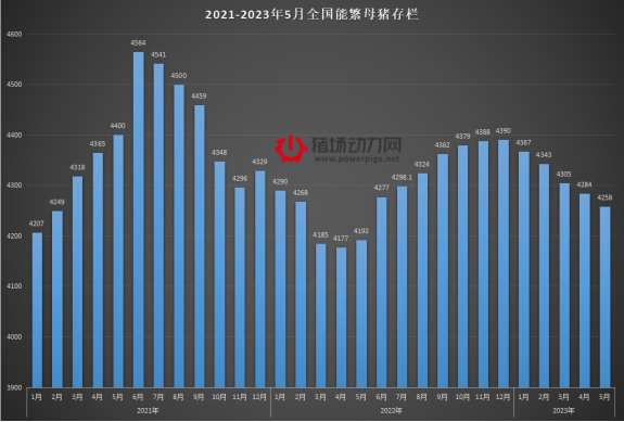 12大战背后的历史真相是什么