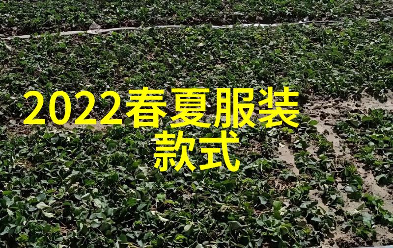 穿越冬日风雪如何与豆豆鞋共赏2021年冬季流行