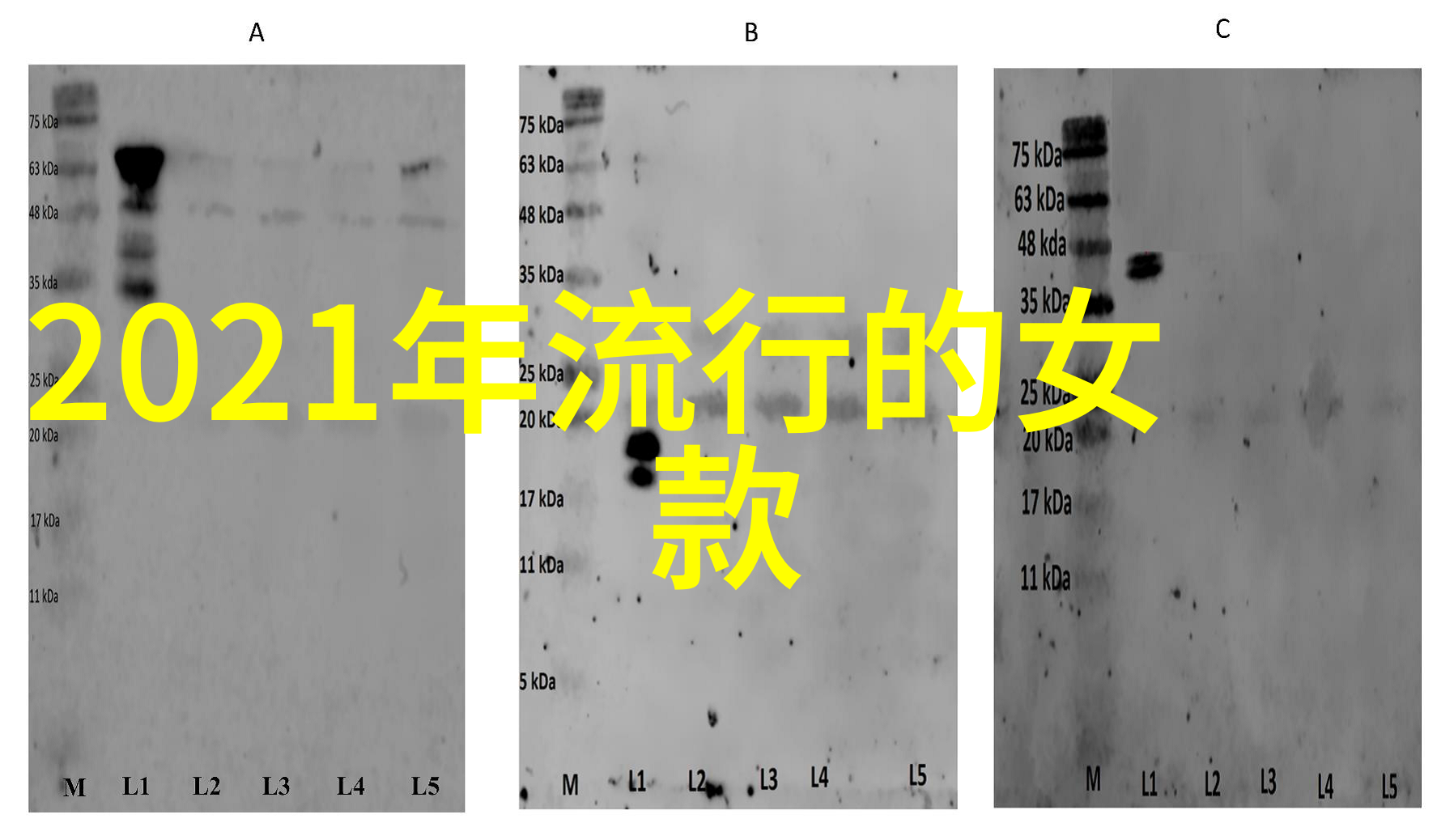 云米发布会上刘启主演的他问是不是每个家都需要a家家具公司的未来家