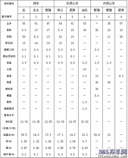 48届金马奖 - 光芒再现48届金马奖的华丽盛宴