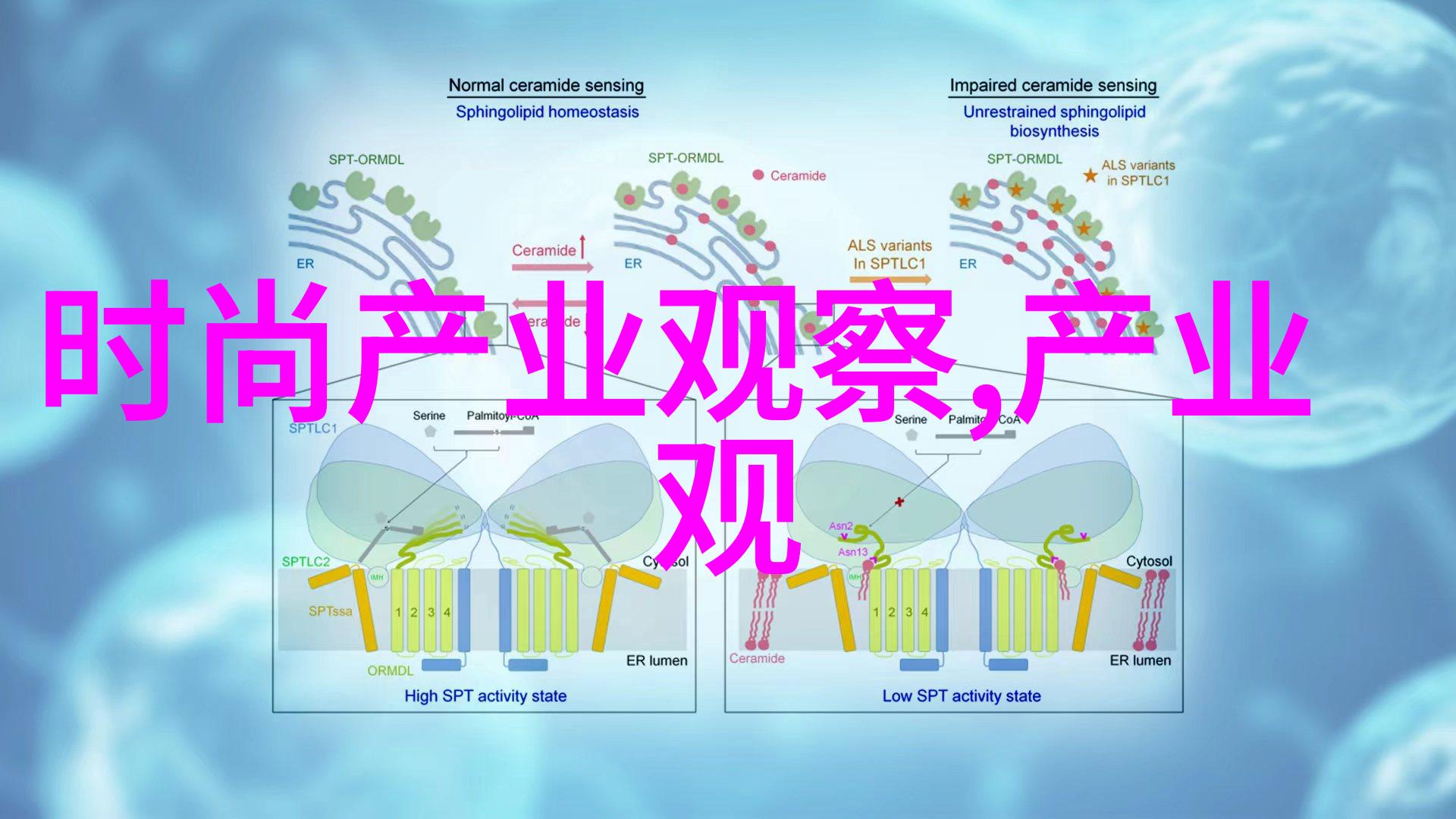 个人美学-探索完美剪发如何选择适合自己的发型