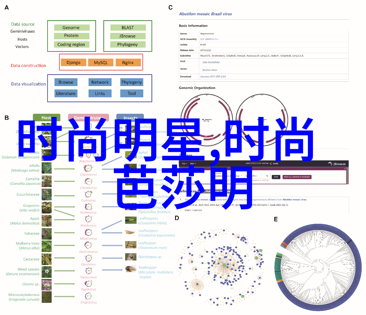 自制编发美学给自己编头发的简单技巧与步骤