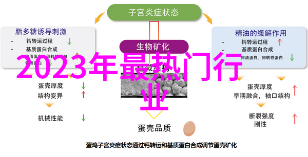 网上时尚指南打造完美的每一天风格