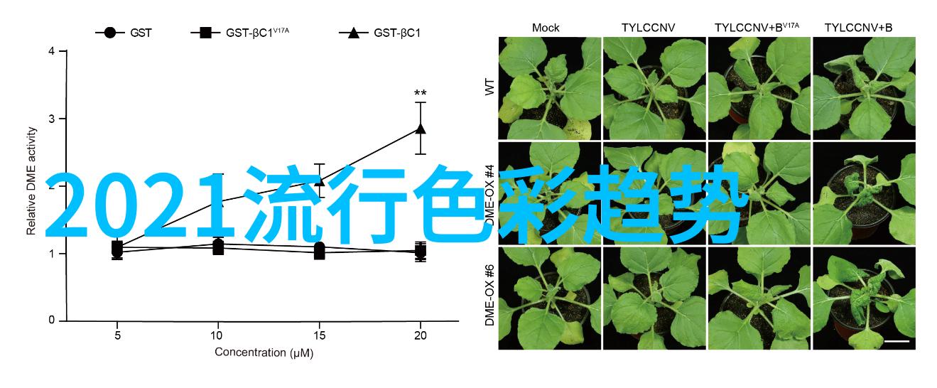 阿迪达斯篮球鞋我这脚下的飞天是怎么回事