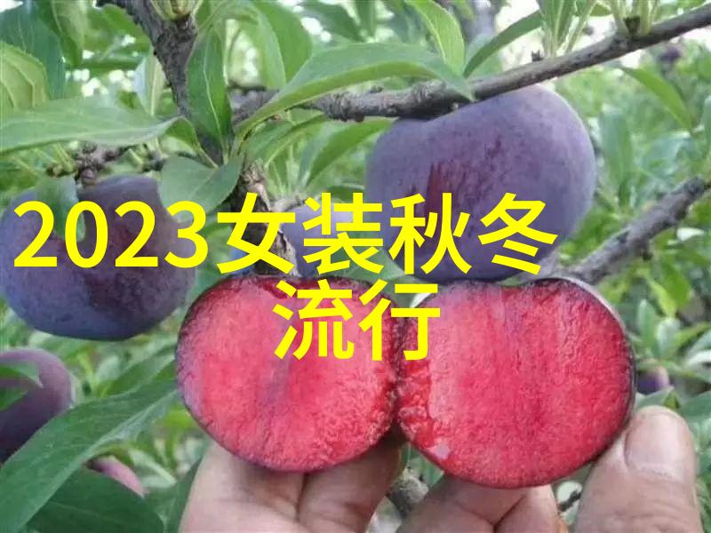 2022流行发型大赏精选时尚界最吸睛造型