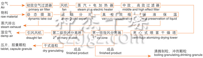 时尚潮流 - 今年流行的短发简约魅力与个性展现