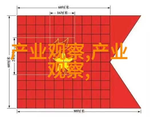 人物介绍-张小格从乡村女孩到城市精英的奋斗故事