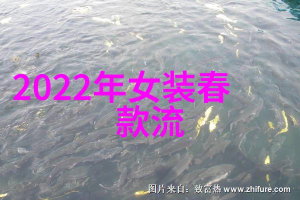 男士和女士在2020年最受欢迎的发型颜色的差异是什么