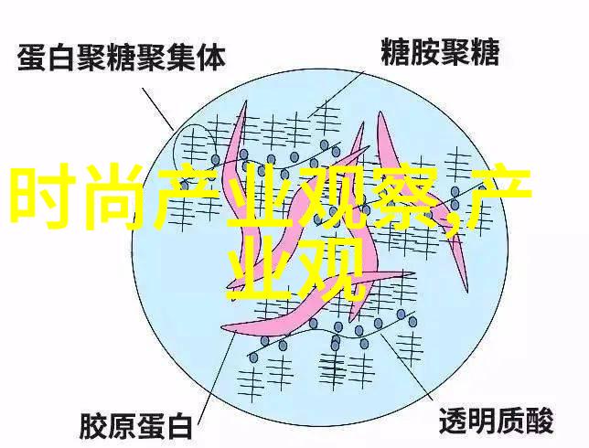 切尔西靴的经典魅力与时尚演变