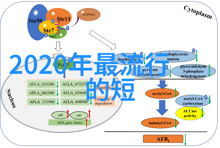 什么是简约风格在编发中的体现