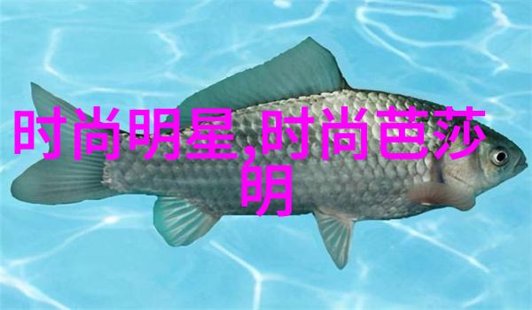 四位一体1111背后的文化与数字之谜