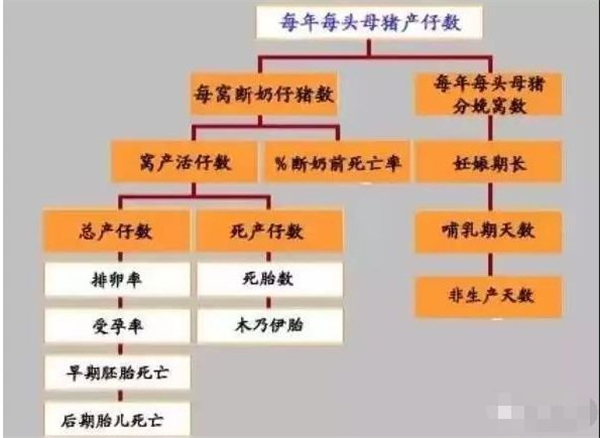 课堂上的秘密武器为什么不戴罩子也能捏到一节课