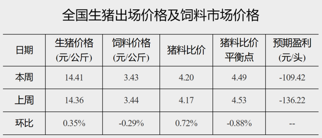 电影-女扮男装跨性别角色探索