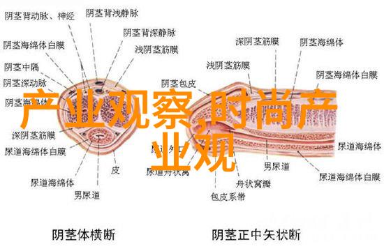 头发剪艺的学习之路时间与技巧的磨合