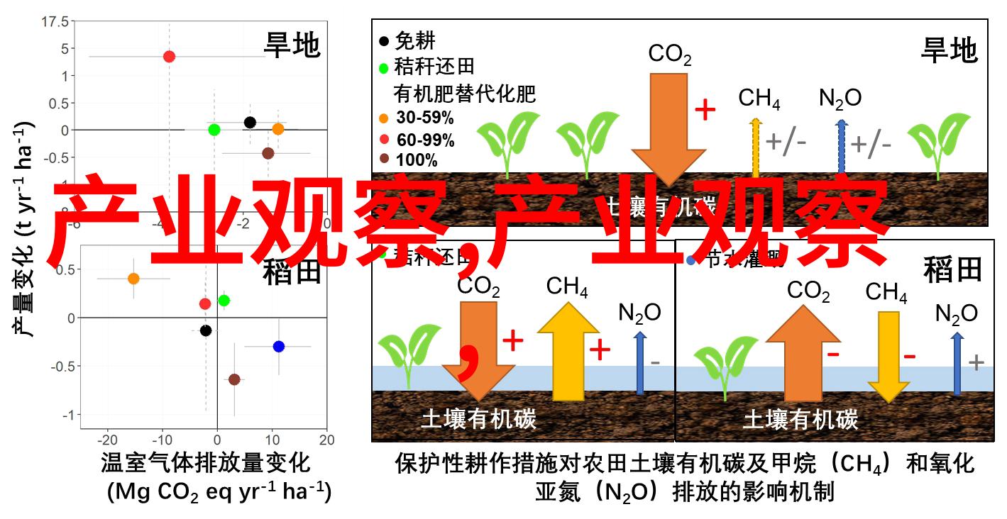 40岁白头发是什么原因-四十而白揭秘中年人的头发变白之谜