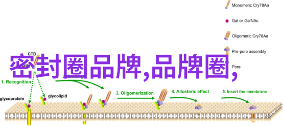 逆袭时尚2021秋冬流行趋势图片