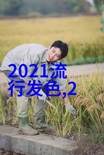 2021年元宵晚会节目单剖析文化传承与现代表演艺术的融合