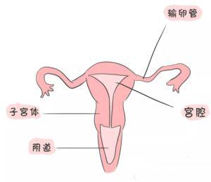 挑战传统规则低腰和高腰裤在2022年的流行趋势探究