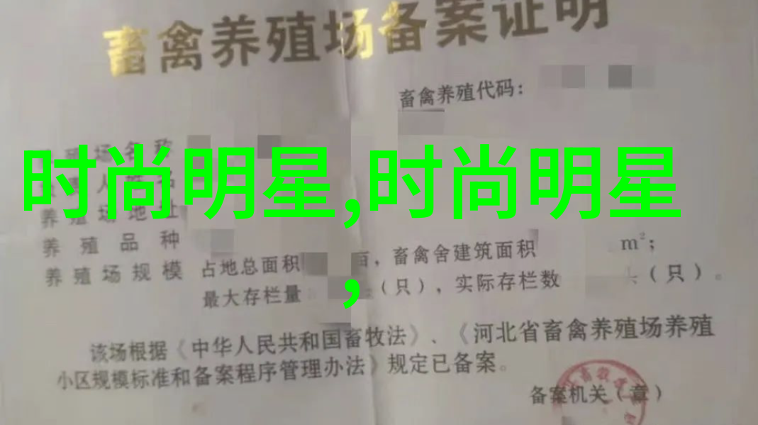 库存鞋的故事闲置鞋履的秘密生活与再生之旅