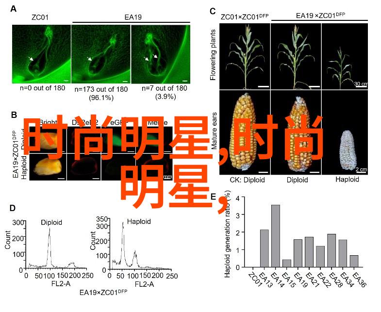 如何在工作场合中融入2021秋冬流行元素