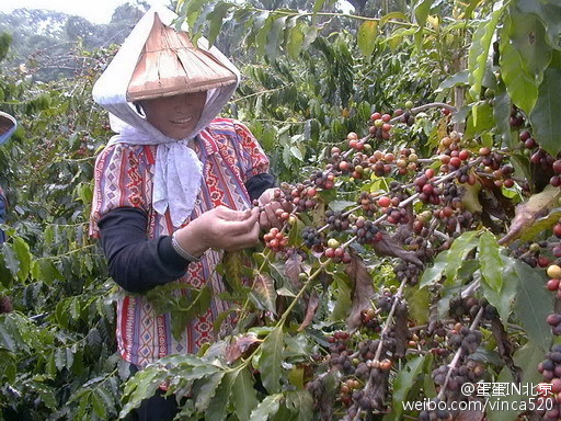 理发过程视频中常见的错误有哪些应该避免