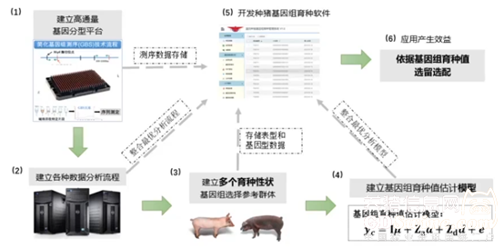 如何通过查看衣柜图片大全来规划你的穿搭风格