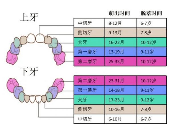 114大探索人文艺术的韵味与深度