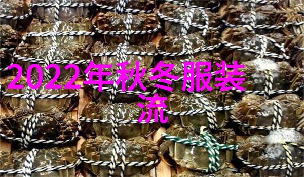 40岁短发多种款式-时尚四十探索中年女性短发造型的艺术与魅力