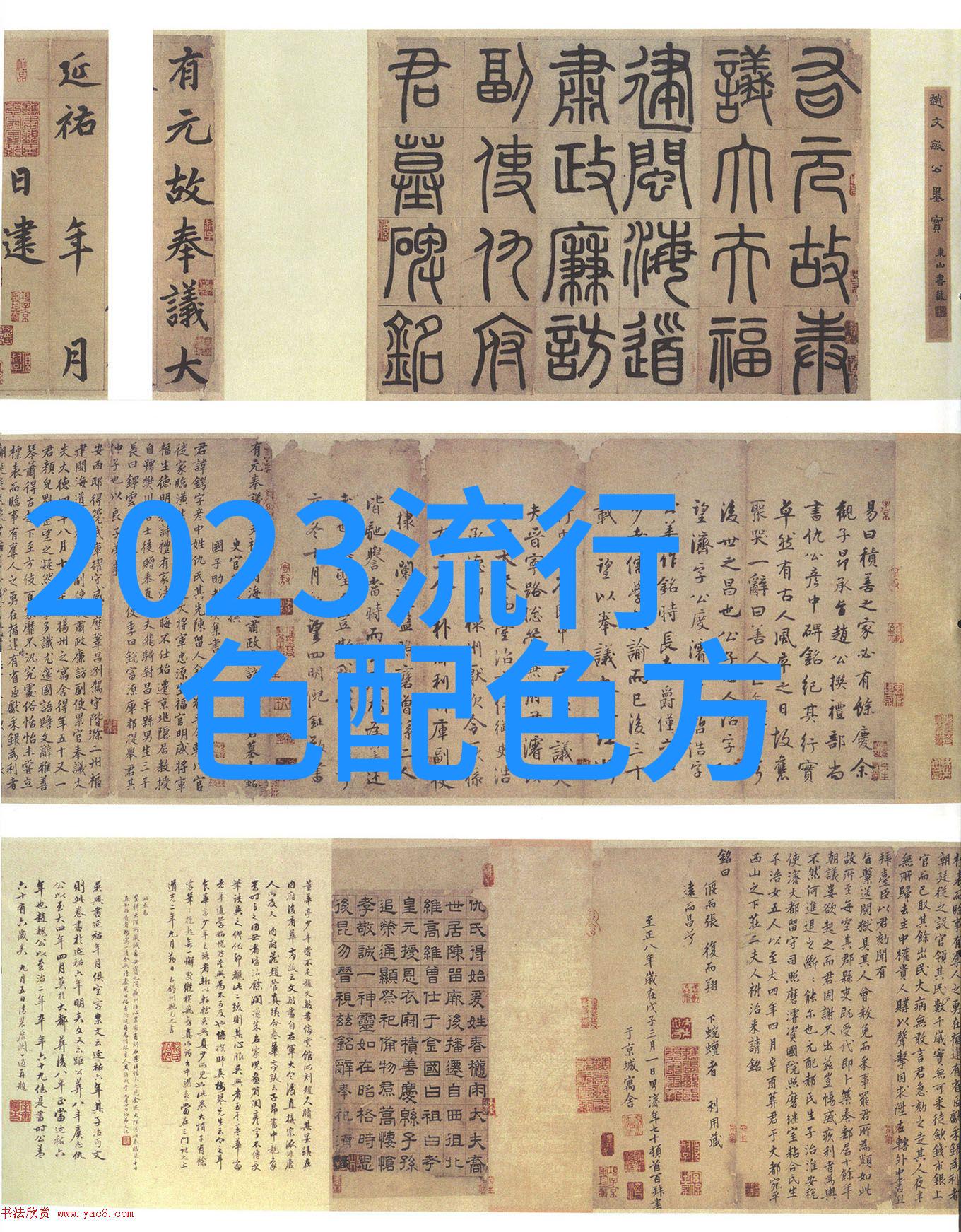 测一下脸型适合什么发型-探索完美比例面部特征与发式的和谐之道