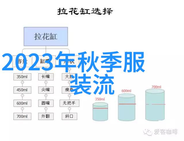 时尚界的新宠儿轻盈优雅女装风格流行女装最新趋势