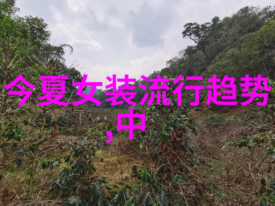 剪发入门教程掌握基础技巧自在风采