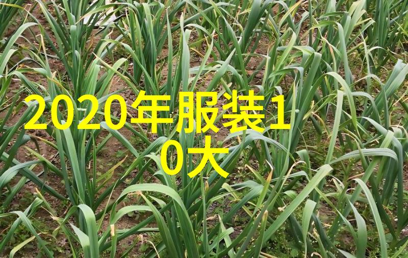 2020国剧盛典-荣耀绽放回顾2020年中国电视剧界的璀璨时刻