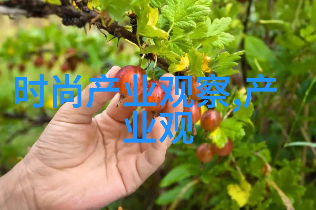 小扫货水能探秘