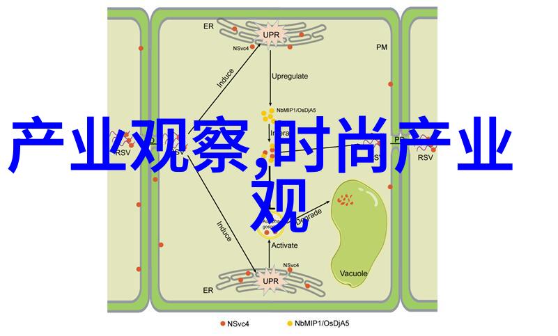 在不同季节里chic cam 的搭配风格应该如何变化