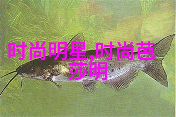 探索未知数字的秘密故事