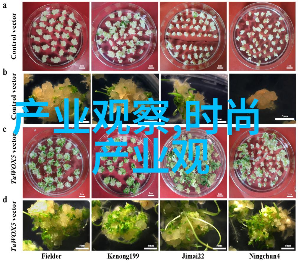 男士发型大集合探索各种风格与其图片名称的魅力