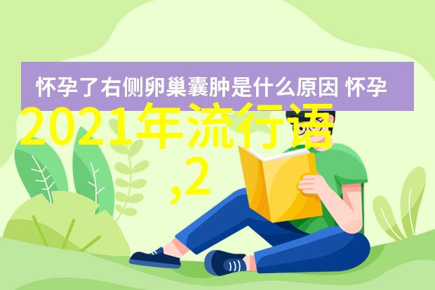 杨洪刚理发初级教程全部视频 - 掌握基础技巧成为理发达人