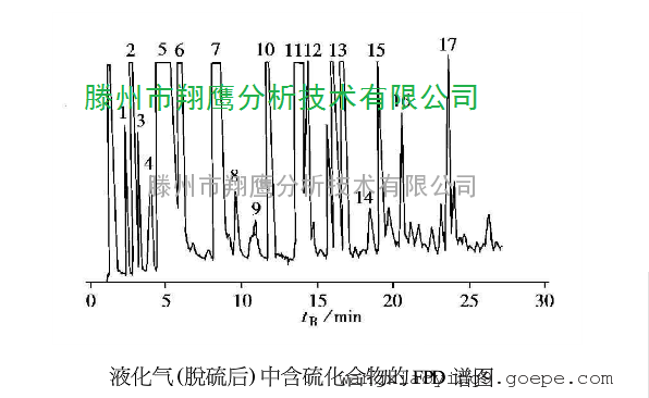 时尚界的新宠儿最新短发造型简约精致流行趋势