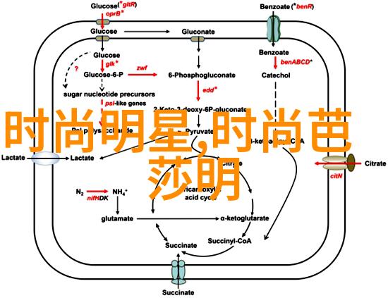 模拟网络大师探索Simwood如何革新通信技术与服务