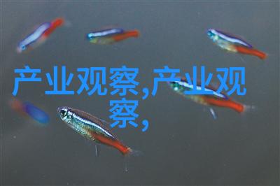 315122-111数字密码的秘密解码