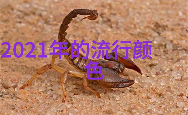 今年春季穿搭流行色彩鲜艳橙色柔和蓝绿温暖金黄